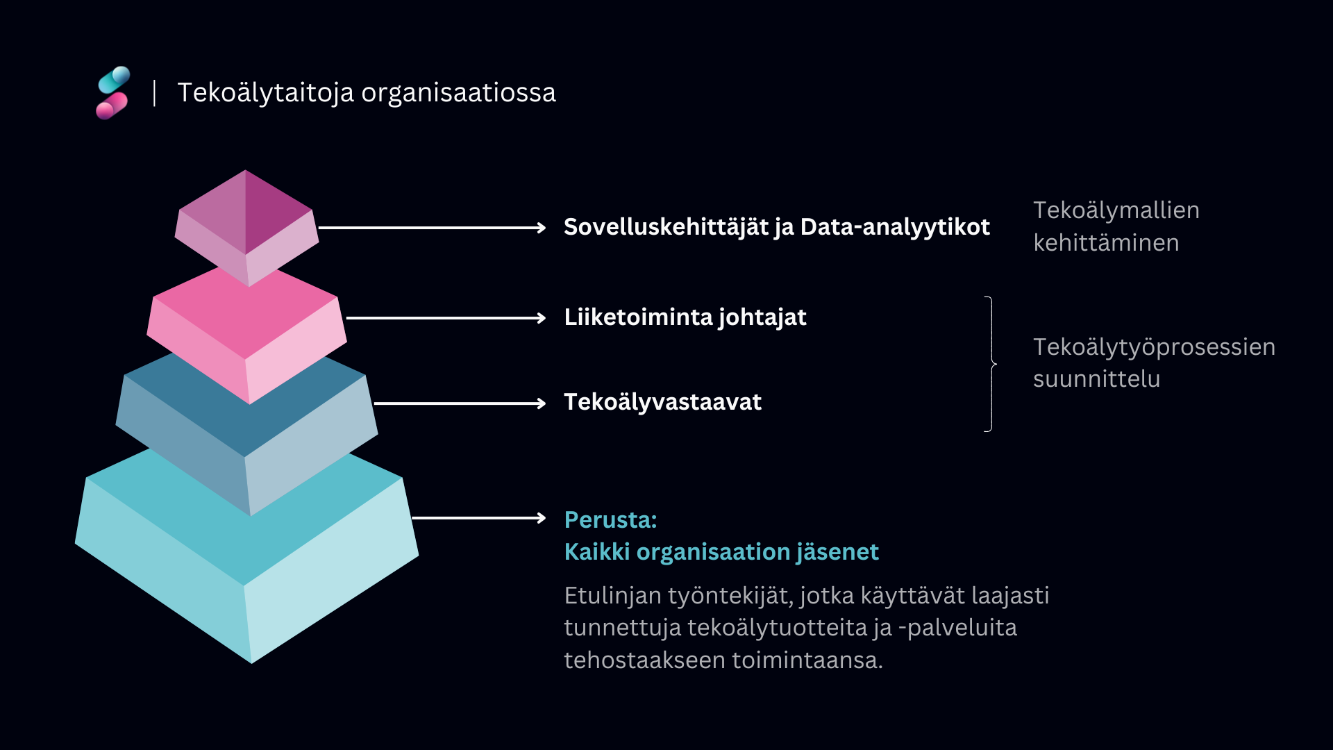 Tekoälytaitoja organisaatiossa